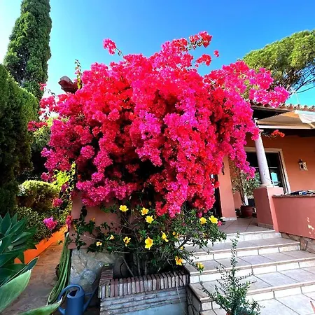 Exclusive Andalusian El Pino In Cabopino Villa *