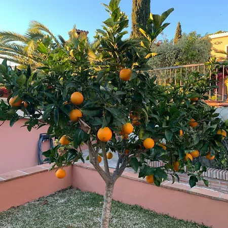 Villa Exclusive Andalusian El Pino In Cabopino