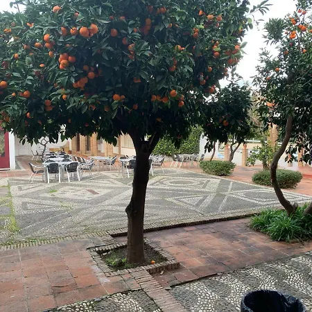 Exclusive Andalusian El Pino In Cabopino *